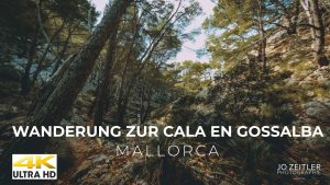 Read more about the article Wanderung zur Cala en Gossalba auf Mallorca